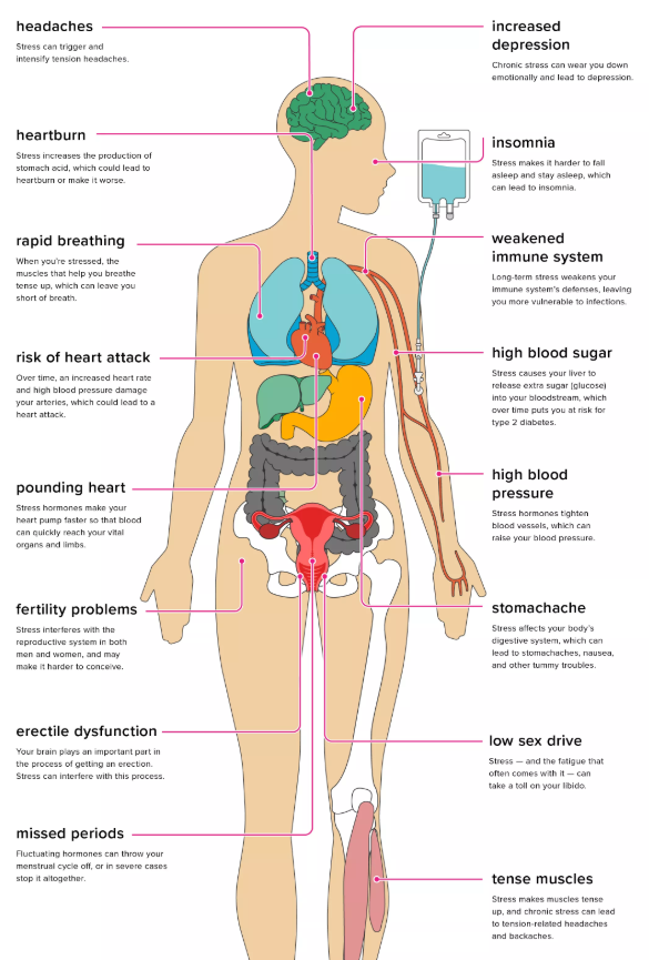 effects of stress on your body