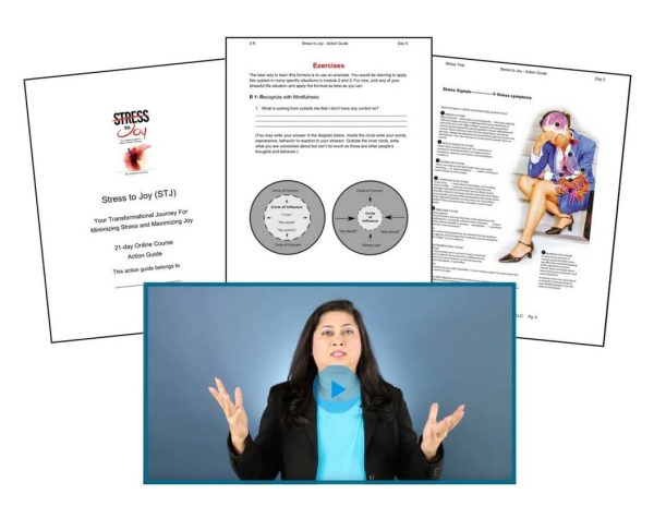 Stress to Joy Online Course